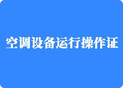 大鸡巴插入粉红色逼逼里面视频制冷工证